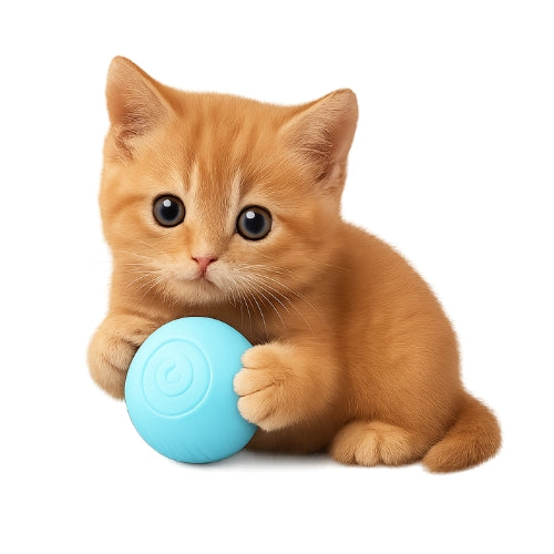 Bola Interativa para Pet